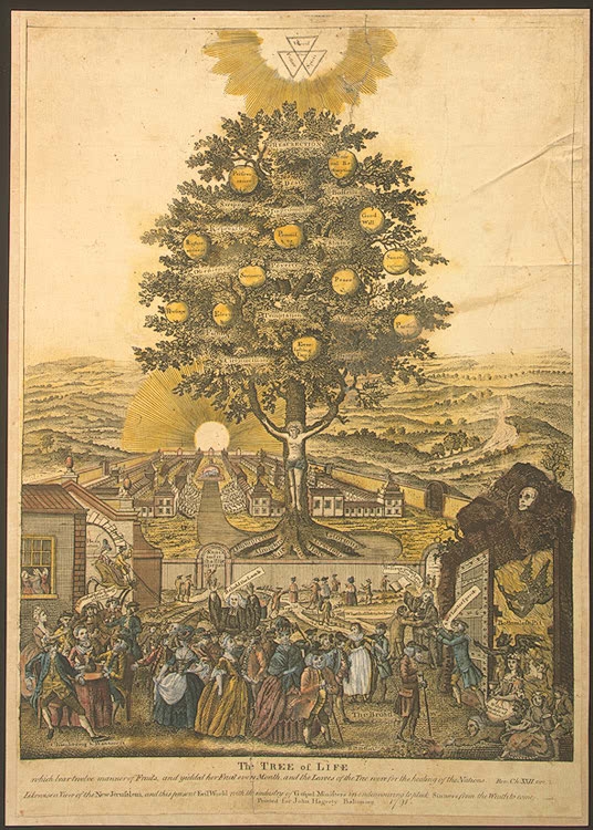 Tree Of Life