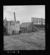 Great Depression Squatter Camp in Porterville