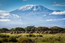 Things to Know about Kilimanjaro