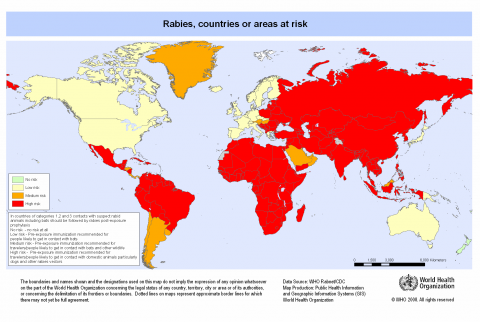 RABIES as a 21st-CENTURY PROBLEM (Illustration) Education Ethics Medicine Social Studies STEM Tragedies and Triumphs Disasters