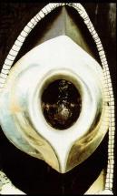 MUHAMMAD AND THE MODERN WORLD