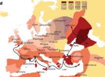 WHERE DID IT ORIGINATE?