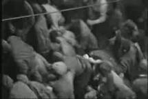 Auschwitz and the Final Solution