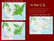 Does Human Progress Justify Destruction of Virgin Forests?