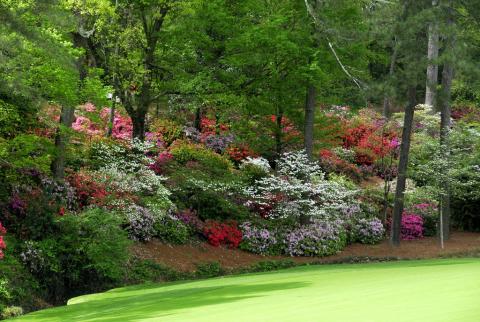 Bobby Jones and Augusta National Golf Club