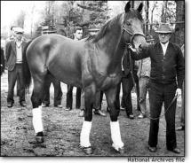 Seabiscuit Photo