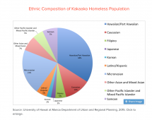 Ethnic Composition of Hawaii Homeless Population