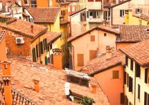 PARENTAL ANGUISH and a KIDNAPPING