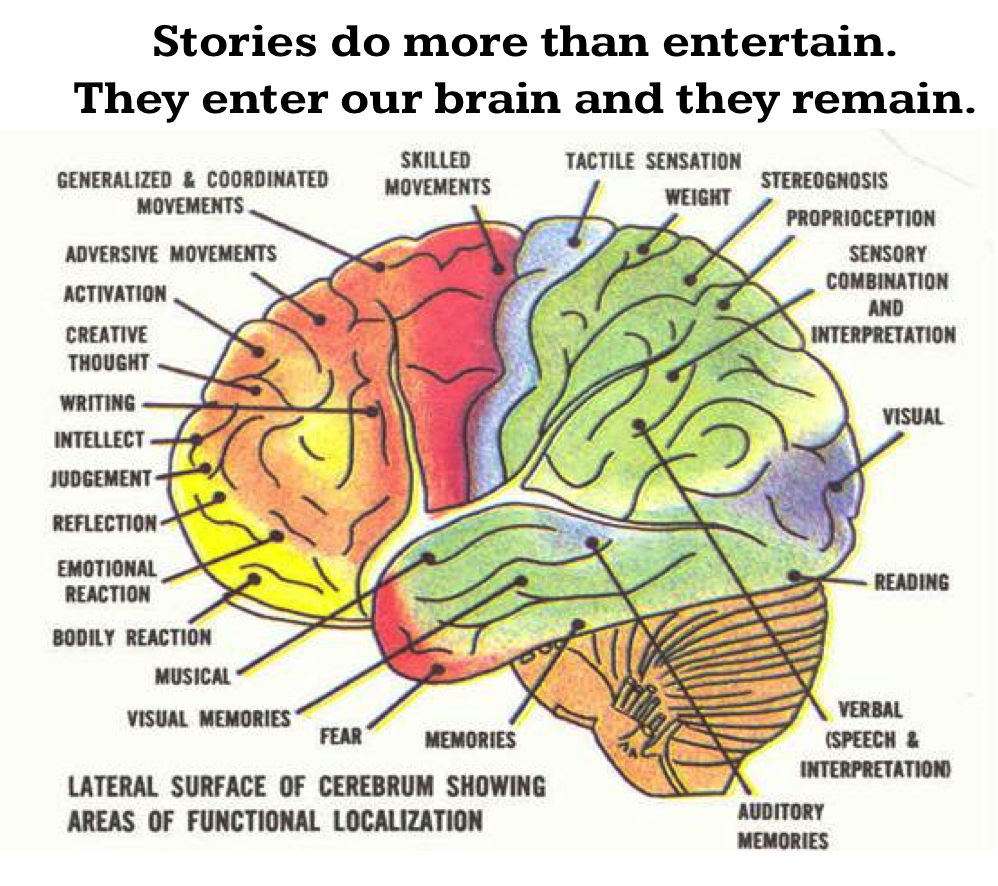 Detailed Brain Diagram