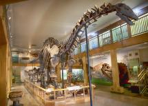 JURASSIC-ERA DINOSAURS