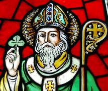 THE APOSTLE OF IRELAND