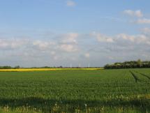 Lejre Today - Rural Setting