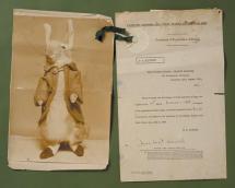 Beatrix Potter - Peter Rabbit Doll