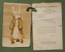 Beatrix Potter - Peter Rabbit Doll