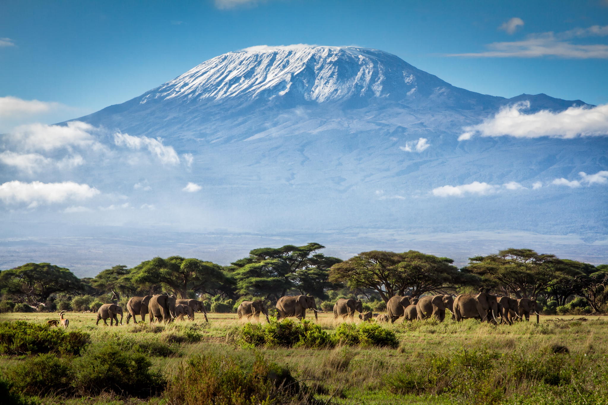 travel times kilimanjaro