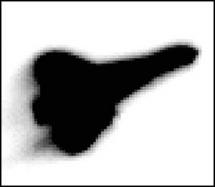 COLUMBIA'S LAST MINUTES