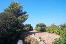 PRISONERS OR TRAITORS?