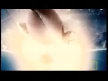 Challenger - Last Words from the Crew