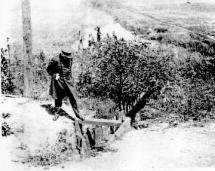 CHANCE EVENTS DESTROY A PLAN