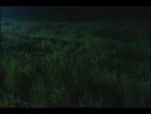 Auschwitz Through the Eyes of Its Commandant