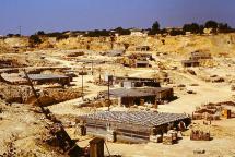 THE SOLNHOFEN LIMESTONE