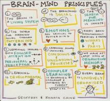 12 Brain/Mind Learning Principles