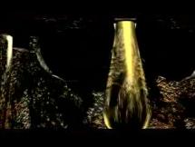 Beowulf - Reality and the Story