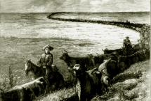 AMERICAN COWBOYS and CATTLE DRIVES