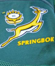 Springboks - Basis of Name