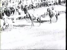 Citation - Triple Crown, 1948