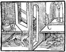 ANIMALS as DEFENDANTS - RATS