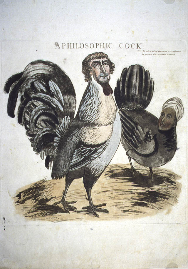 cock jefferson philosophic 1804 thomas sally hemings political marriage james american interracial cartoon ad attack legal cartoons john adams rooster
