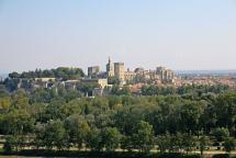 Avignon - May Bugs as Defendants