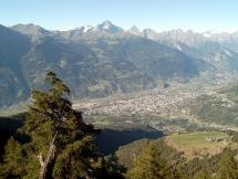 Aosta Valley - Animals as Criminal Defendants