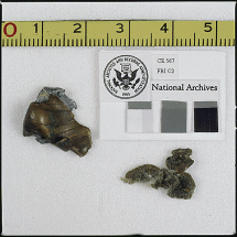 Fragment of a Bullet Nose Found in JFK's Limo