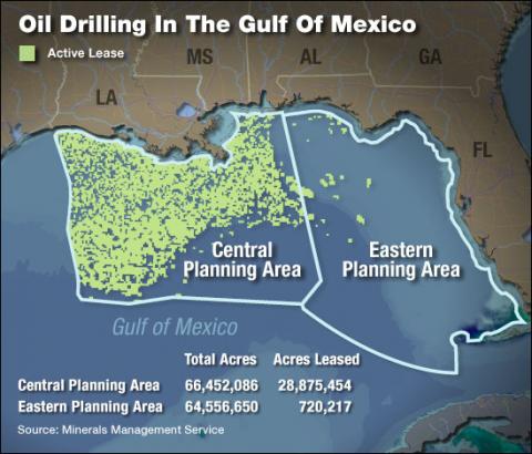 Location of Oil Leases in the Gulf of Mexico American History Disasters Famous Historical Events Geography History Social Studies STEM Tragedies and Triumphs