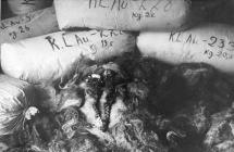 Auschwitz - Bales of Hair