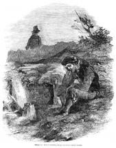 Potato Famine - What is a Scalp?