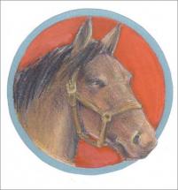 Seabiscuit - Drawing