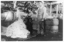 Young Lad on a Textile-Mill Warping Machine