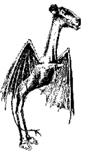 The Jersey Devil  