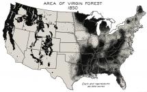 American Forests - 1850