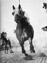 THE PIMLICO SPECIAL OF 1938