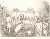 ANIMALS as DEFENDANTS - PIGS