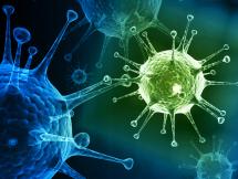 Should Deadly Viruses Ever Be Revived?