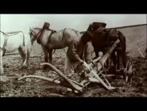 Child Labor in Britain - Working Orphans