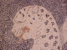 Closeup of Leopard in Mosaic of Dionysus