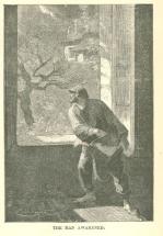 Does Poverty Tend to Cause Crimes of Desperation?