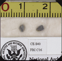 Bullet Fragments Found in the Limo