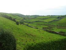 Irish Farmlands